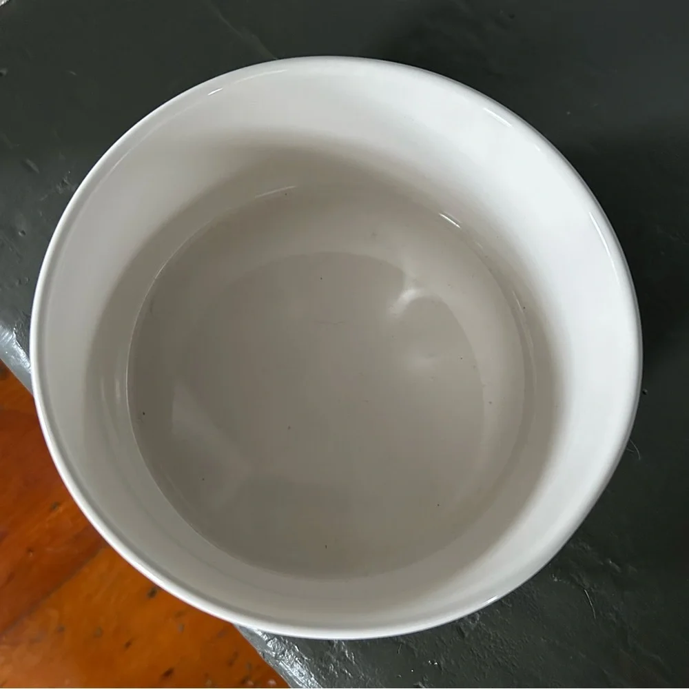 Rae Dunn BONE APPETIT Bowl